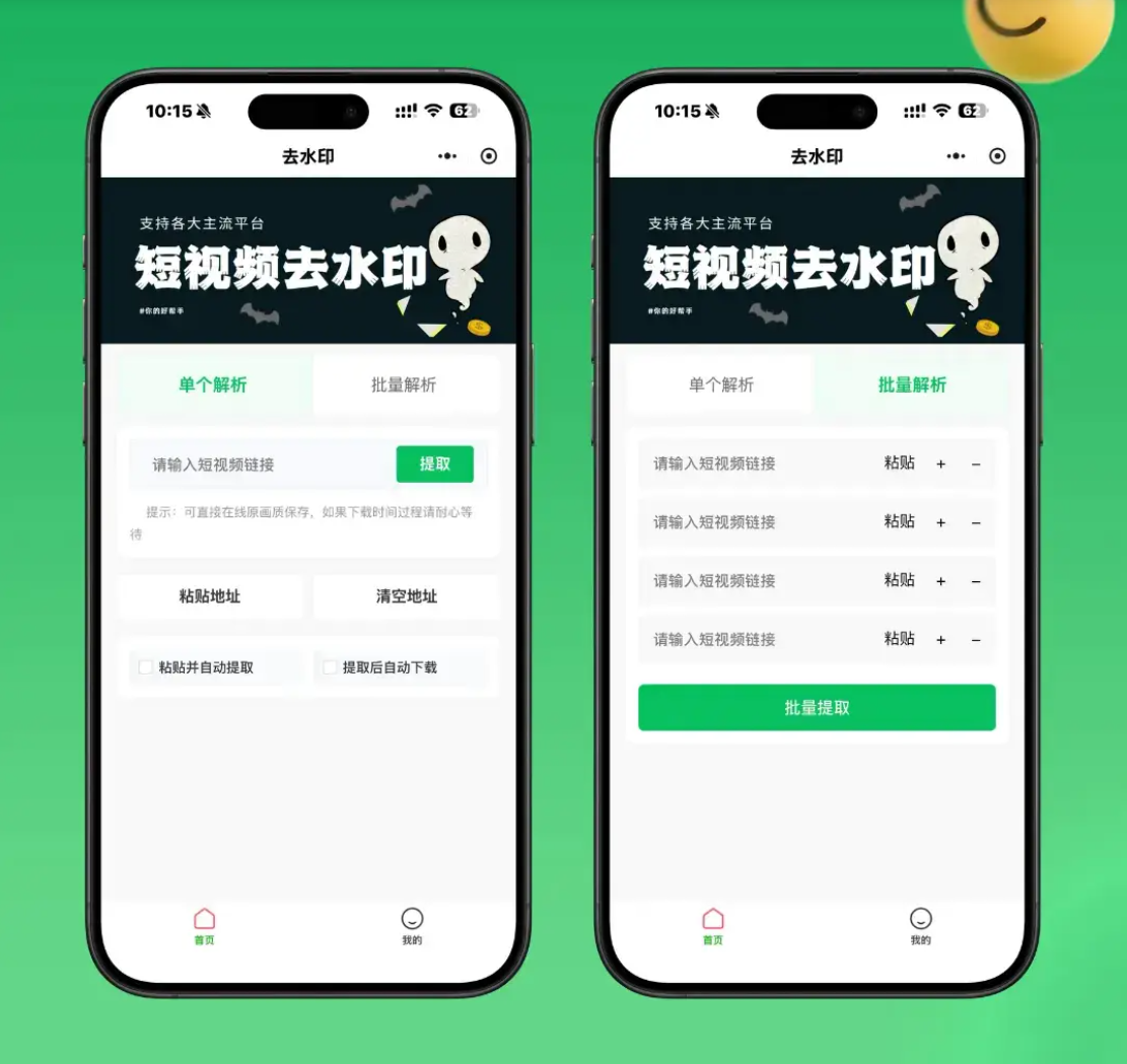 2026最新去水印小程序源码 v1.6.5 带流量主-墨痕源码库